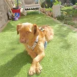 Casa de Férias Luna