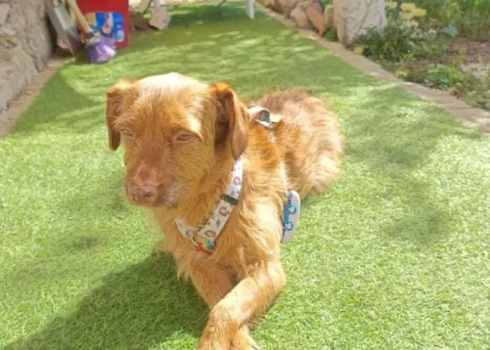 Дом отдыха Luna