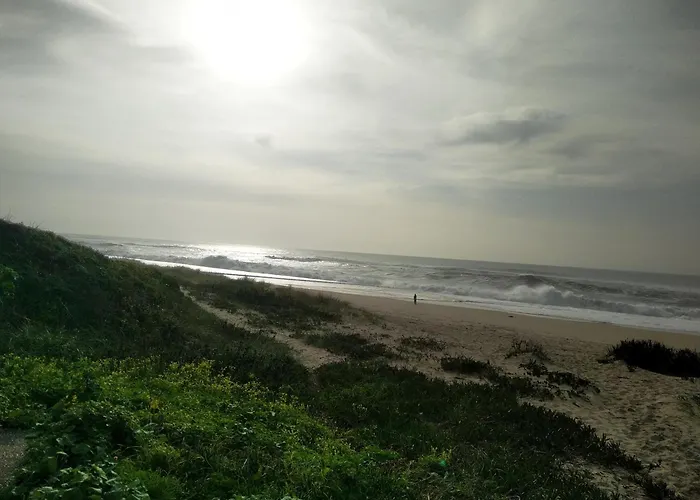 Дом отдыха Luna *